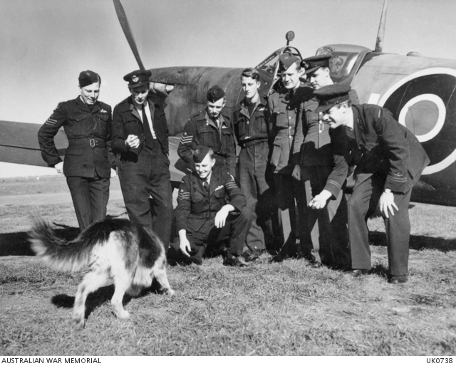 Members of No. 453 Squadron with their mascot, Sprog, at Perranporth, 14 October 1943